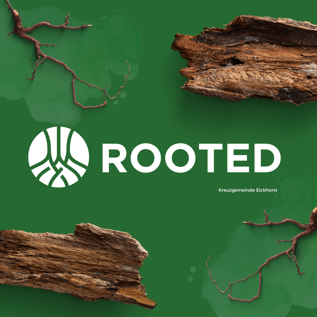 Rooted Seminare